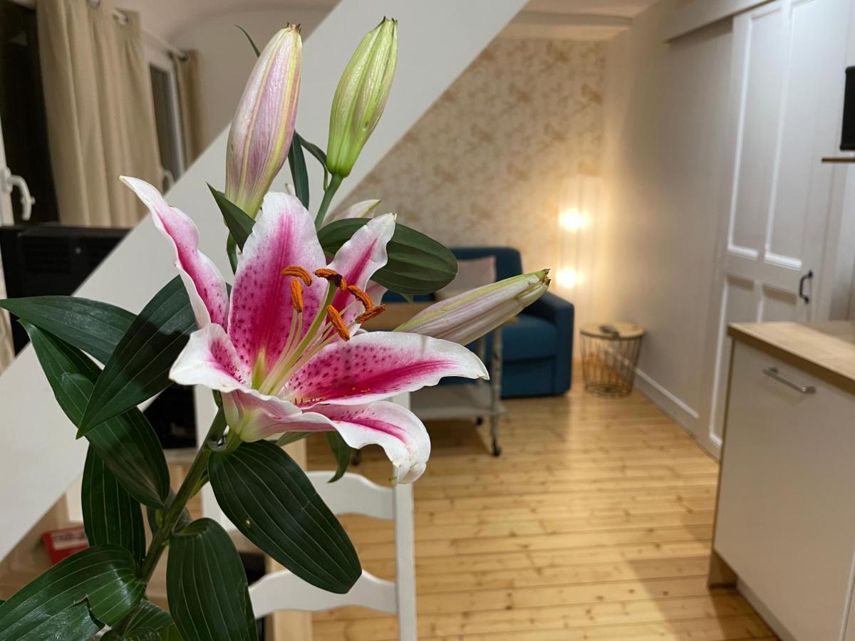 Houlgate Appartement La Briarde Luaran gambar